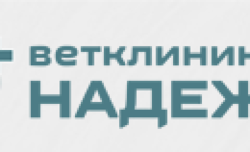 Как правильно подготовиться к приему врача - дерматолога!