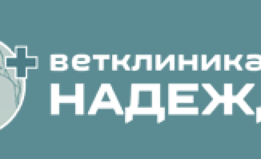 Случай из практики. Жалобы на отсутствие опороспособности на правую заднюю лапу.
