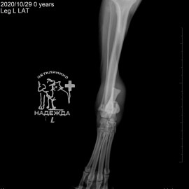 до операции