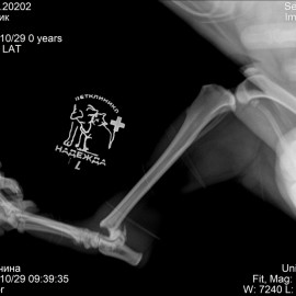 до операции