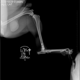 после операции