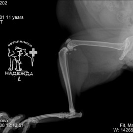 до операции