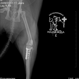 после операции