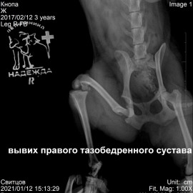 до операции