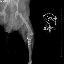 после операции