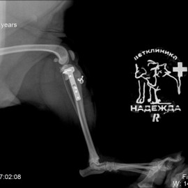 после операции