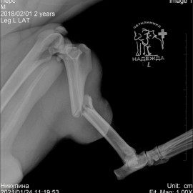 до операции