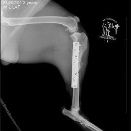 после операции