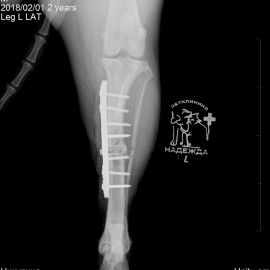 после операции
