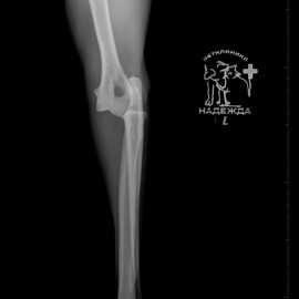 до операции