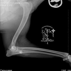 после операции