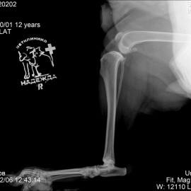 до операции