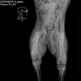 до операции