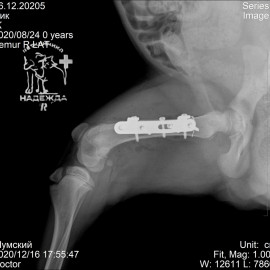 после операции