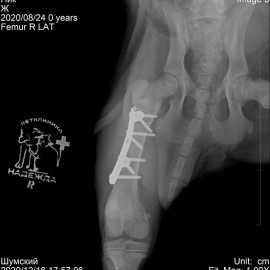 после операции