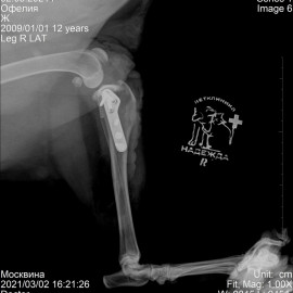 до операции