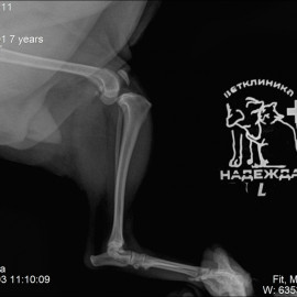 до операции