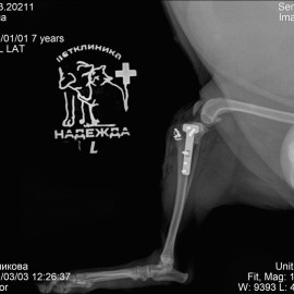 после операции
