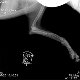 до операции