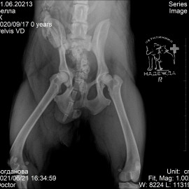 до операции