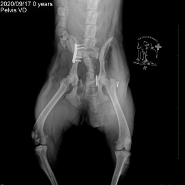 после операции