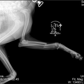 до операции