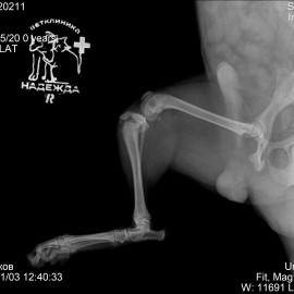 до операции