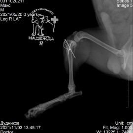 после операции