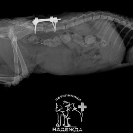 после операции