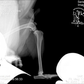 до операции