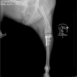 после операции