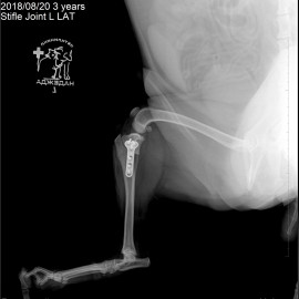 после операции