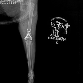 после операции