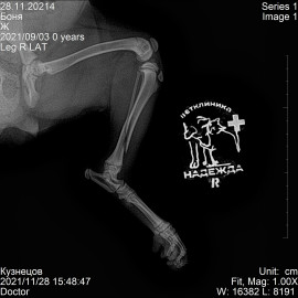 до операции