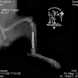 после операции