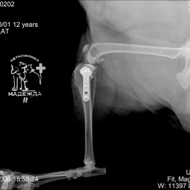 после операции