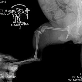 до операции