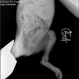 до операции