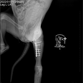 после операции