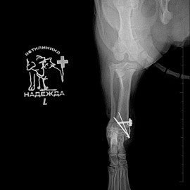 после операции