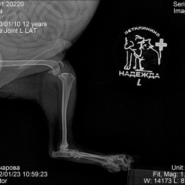 до операции