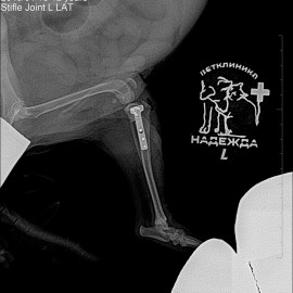 после операции