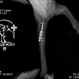 после операции