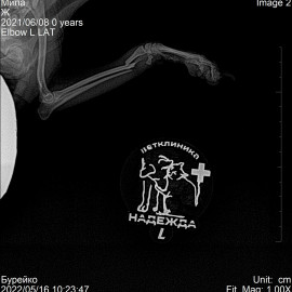 до операции