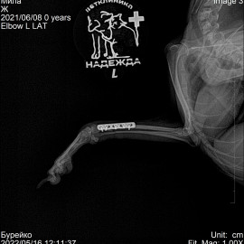после операции