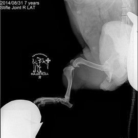 до операции