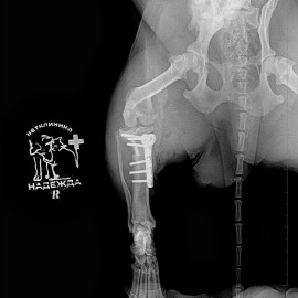 после операции