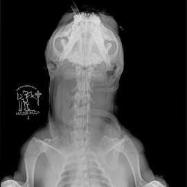 после операции