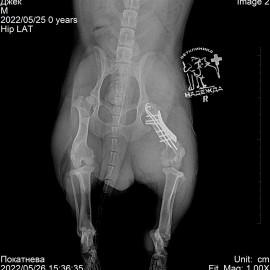 после операции