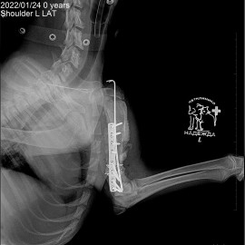 после операции